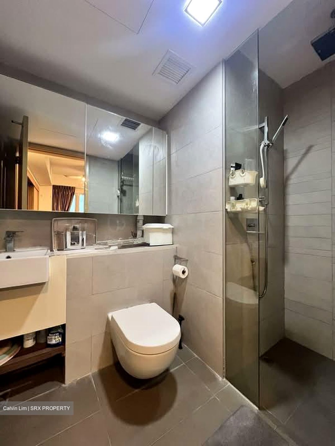 Eight Riversuites (D12), Condominium #556196231